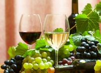 wine tasting events in raleigh 